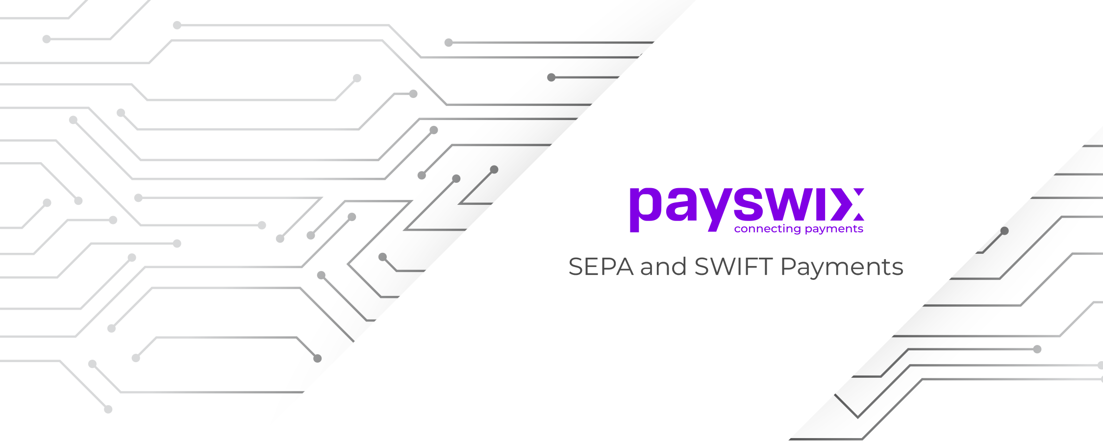 SEPA and SWIFT Payments A Step by step Guide for Business
